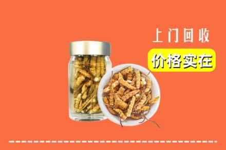 巢湖市回收散虫草