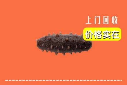 巢湖市回收海参