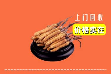 巢湖市回收冬虫夏草