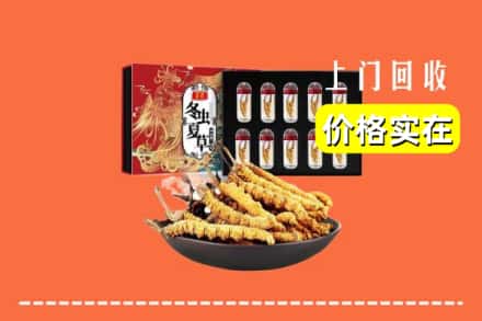 巢湖市回收虫草